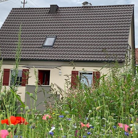 Ferienhaus Bei Lauingen, Mit Sauna Und Gartenlounge Veitriedhausen Zewnętrze zdjęcie