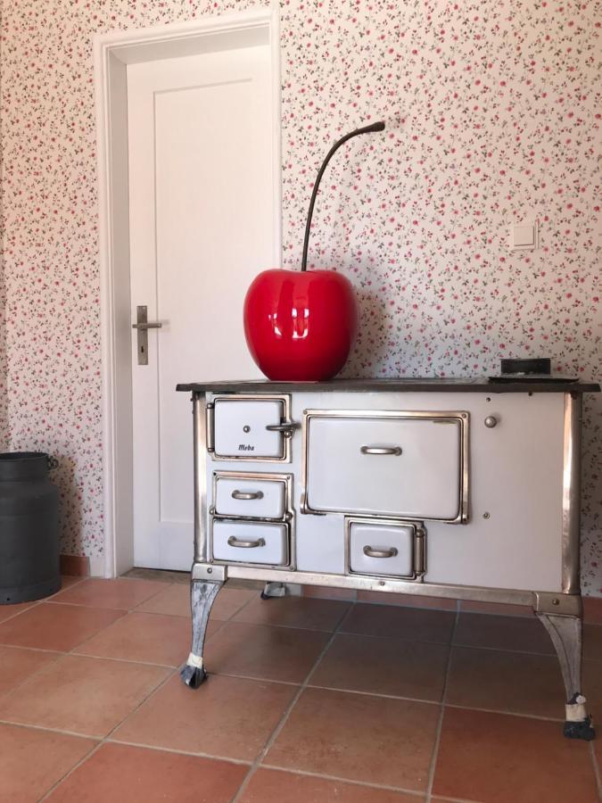 Ferienhaus Bei Lauingen, Mit Sauna Und Gartenlounge Veitriedhausen Zewnętrze zdjęcie