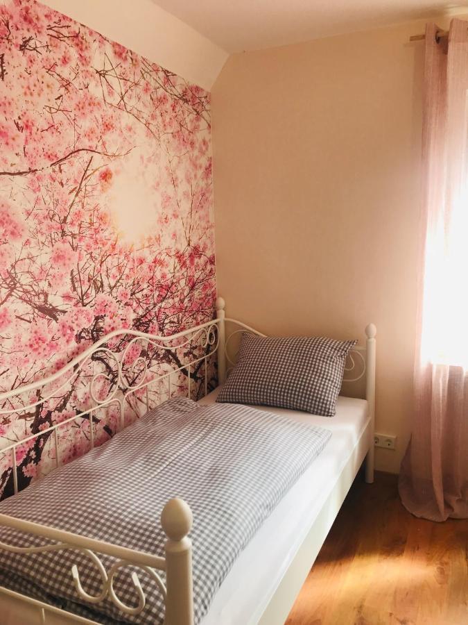Ferienhaus Bei Lauingen, Mit Sauna Und Gartenlounge Veitriedhausen Zewnętrze zdjęcie