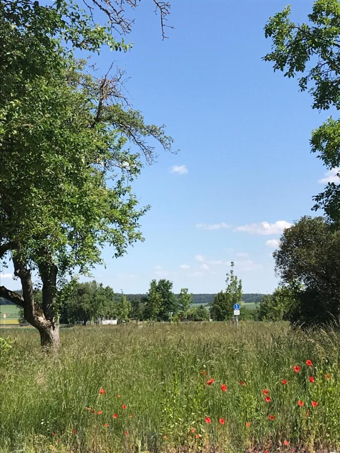 Ferienhaus Bei Lauingen, Mit Sauna Und Gartenlounge Veitriedhausen Zewnętrze zdjęcie
