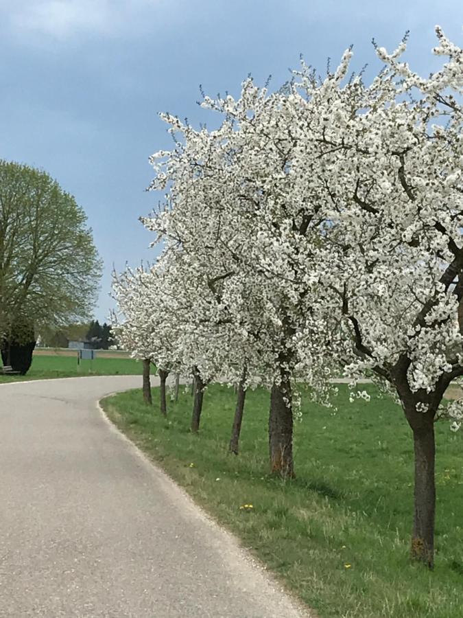 Ferienhaus Bei Lauingen, Mit Sauna Und Gartenlounge Veitriedhausen Zewnętrze zdjęcie