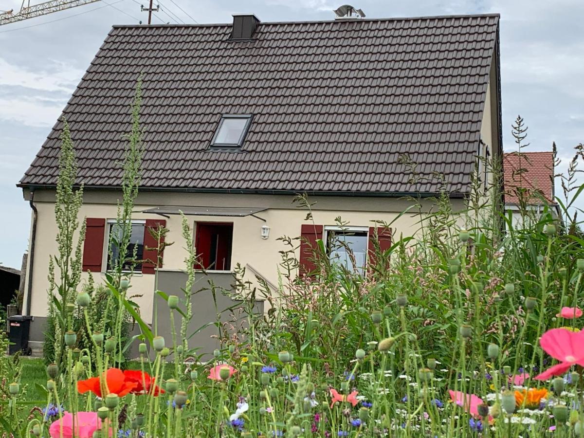 Ferienhaus Bei Lauingen, Mit Sauna Und Gartenlounge Veitriedhausen Zewnętrze zdjęcie